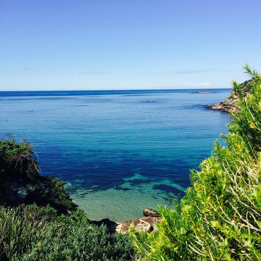 Coogee Beach House Hostel Sydney Buitenkant foto